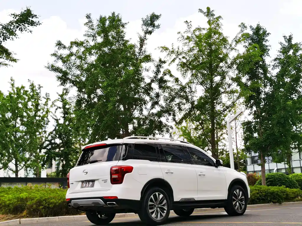 GAC Motor Trumpchi GS8 2019 — фото 6