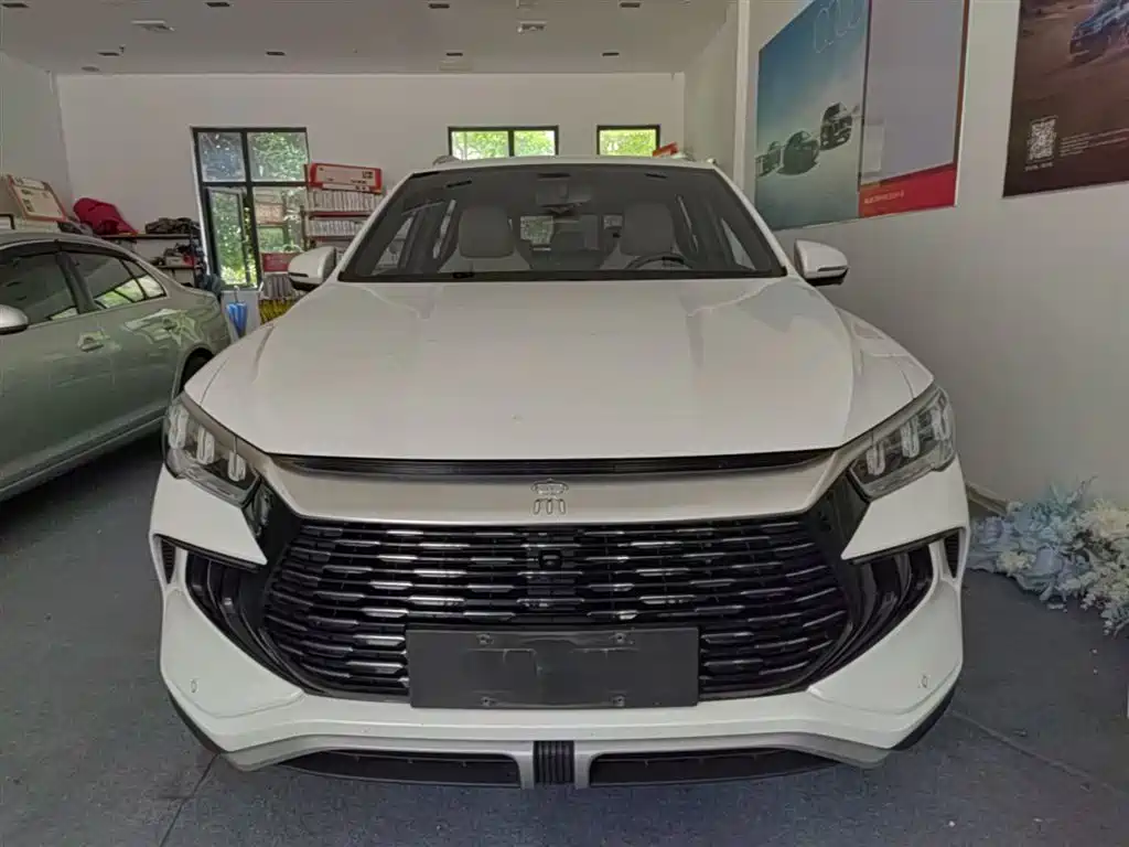 BYD Pro New Energy 2024 — фото 3