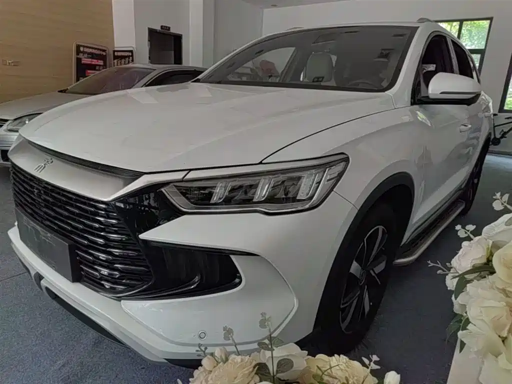 BYD Pro New Energy 2024 — фото 1