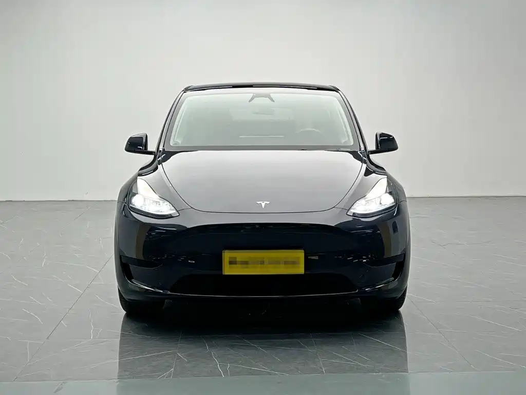 Tesla Model Y 2024 — фото 2