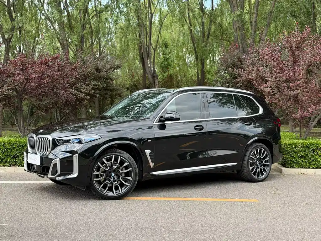 BMW X5 2025 — фото 1