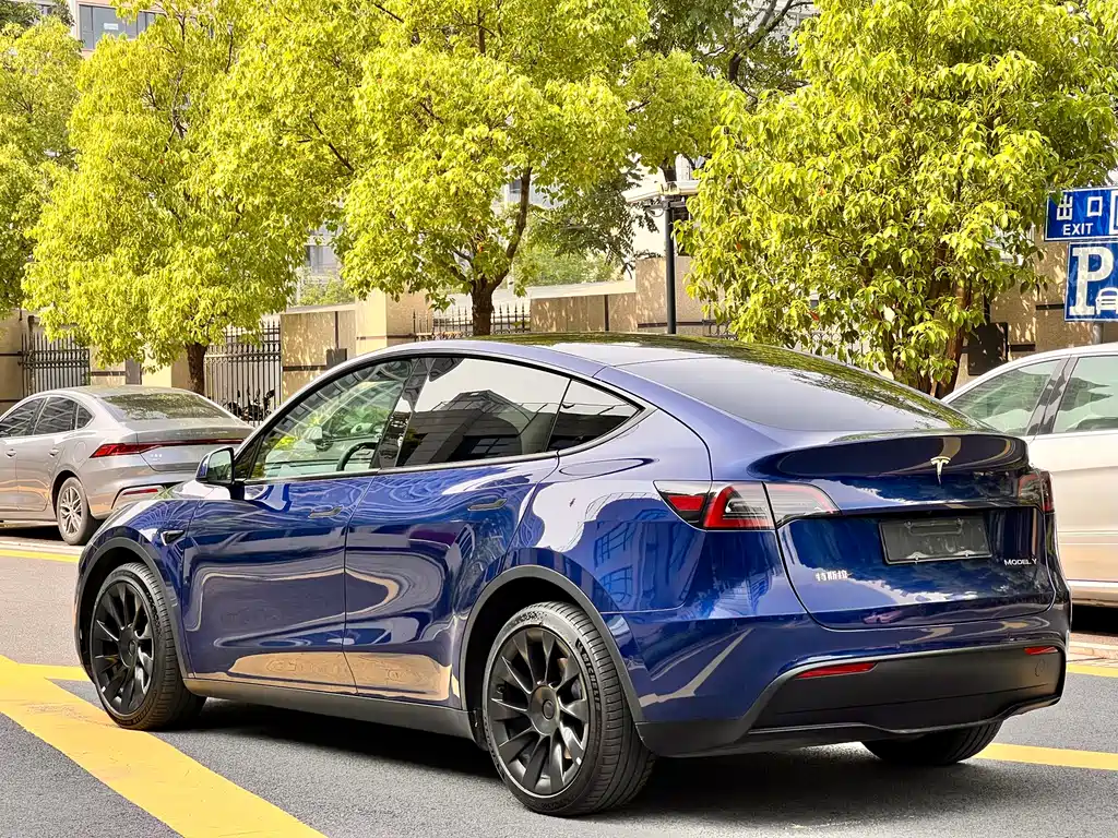 Tesla Model Y 2021 — фото 13