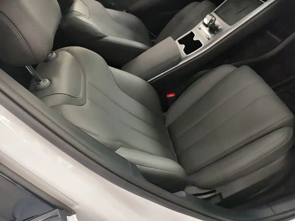 BYD Song Pro New Energy 2025 — фото 25