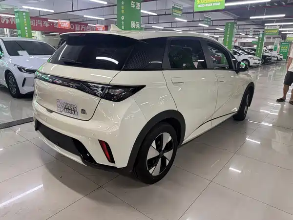 BYD Dolphin 2023