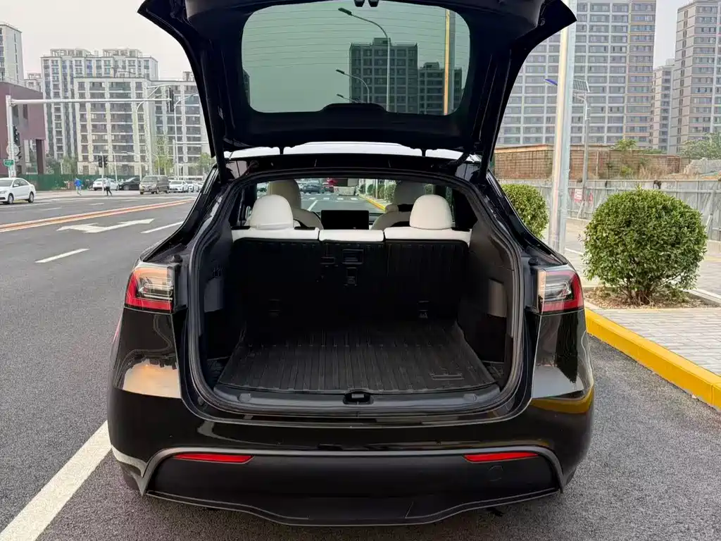 Tesla Model Y 2021 — фото 17