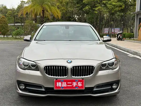BMW 5 Series 2014