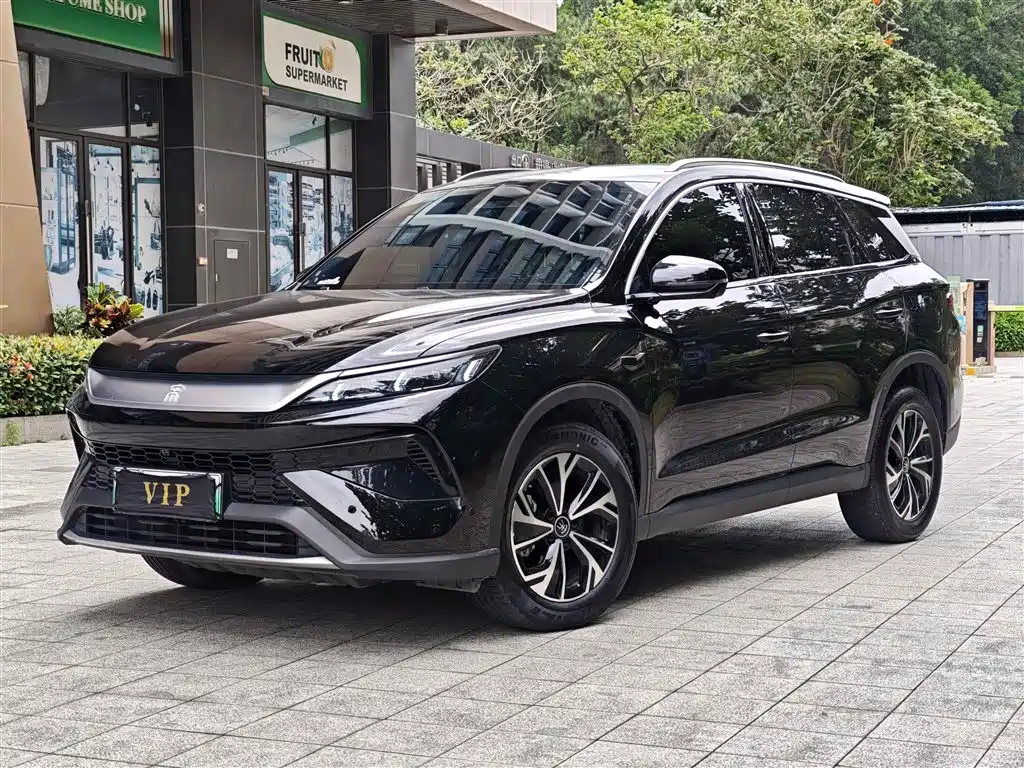 BYD Pro New Energy 2025 — фото 1