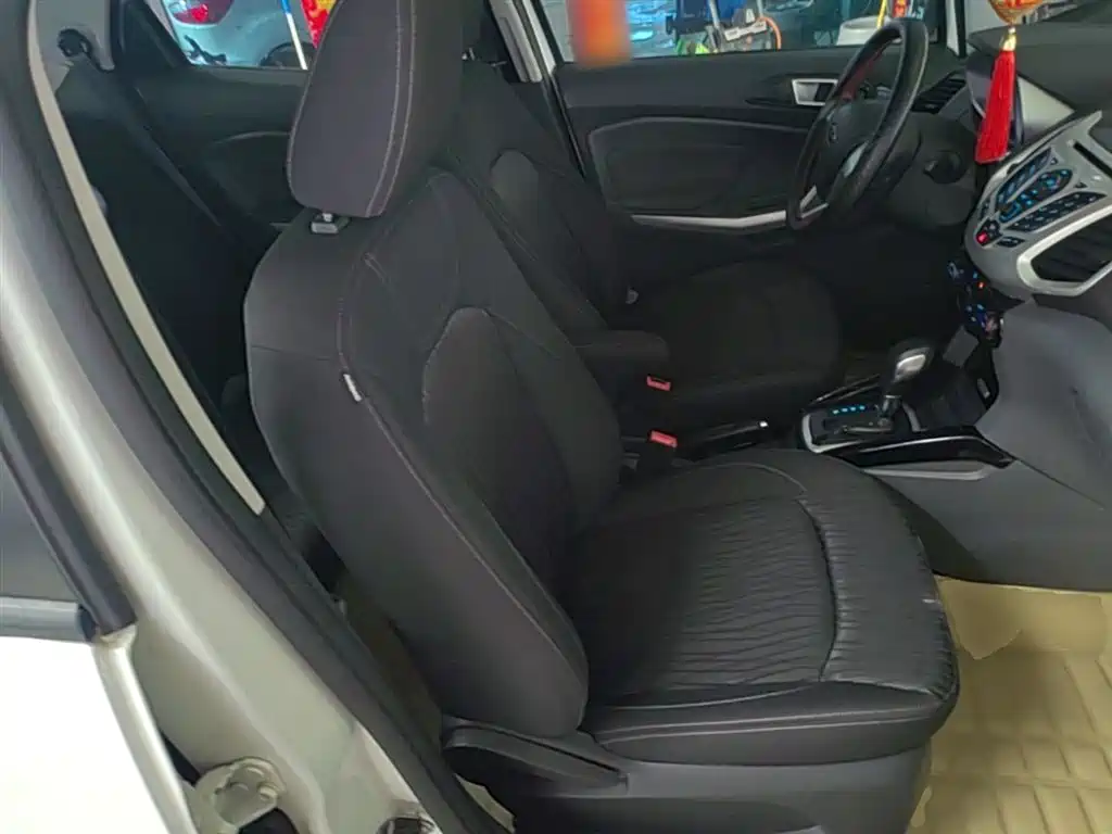 Ford Ecosport 2014 — фото 25