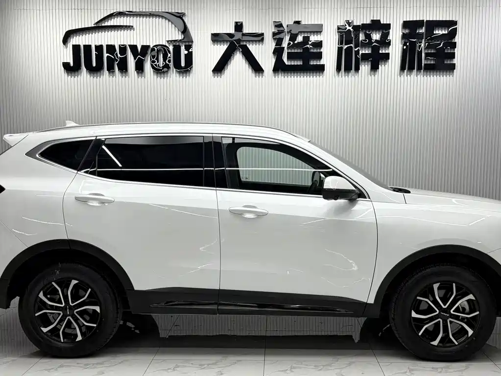 Haval H6 2024 — фото 8