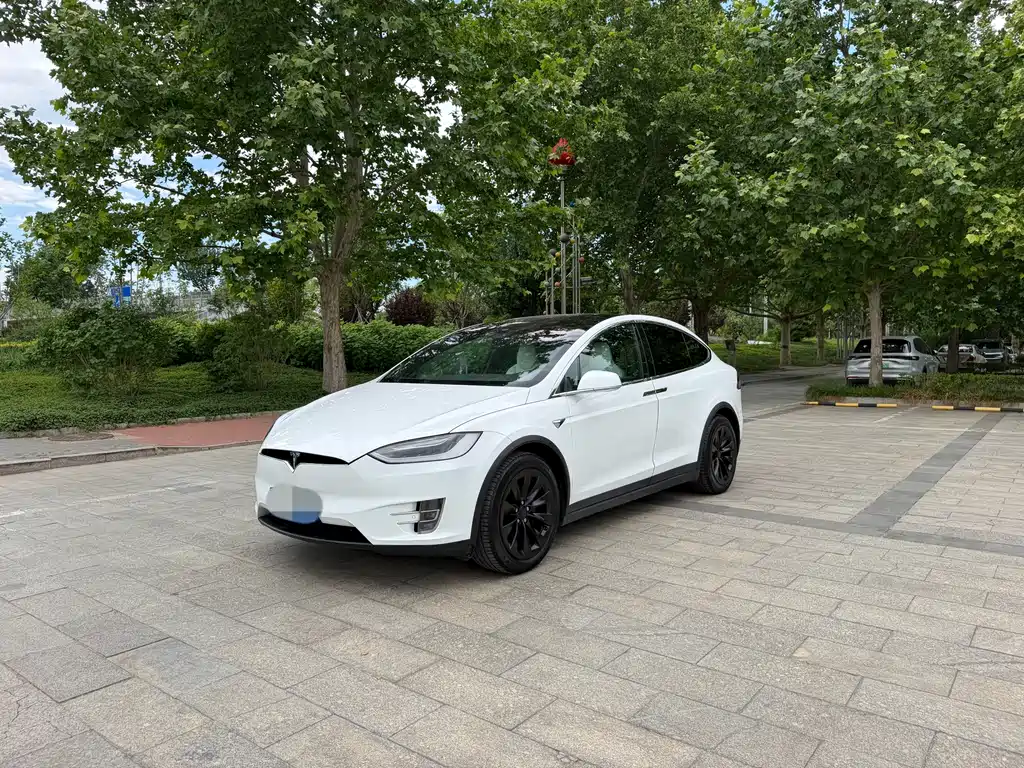 Tesla Model X 2016 — фото 1