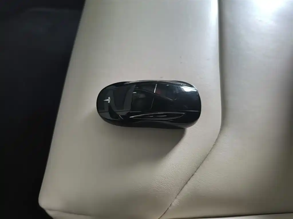 Tesla Model X 2019 — фото 9