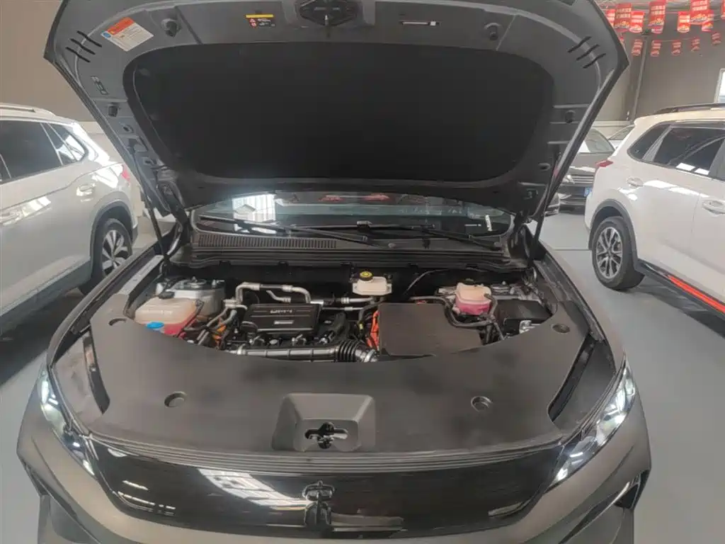BYD Pro New Energy 2025 — фото 20