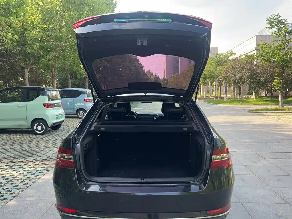 Skoda Speedy 2018 — фото 14