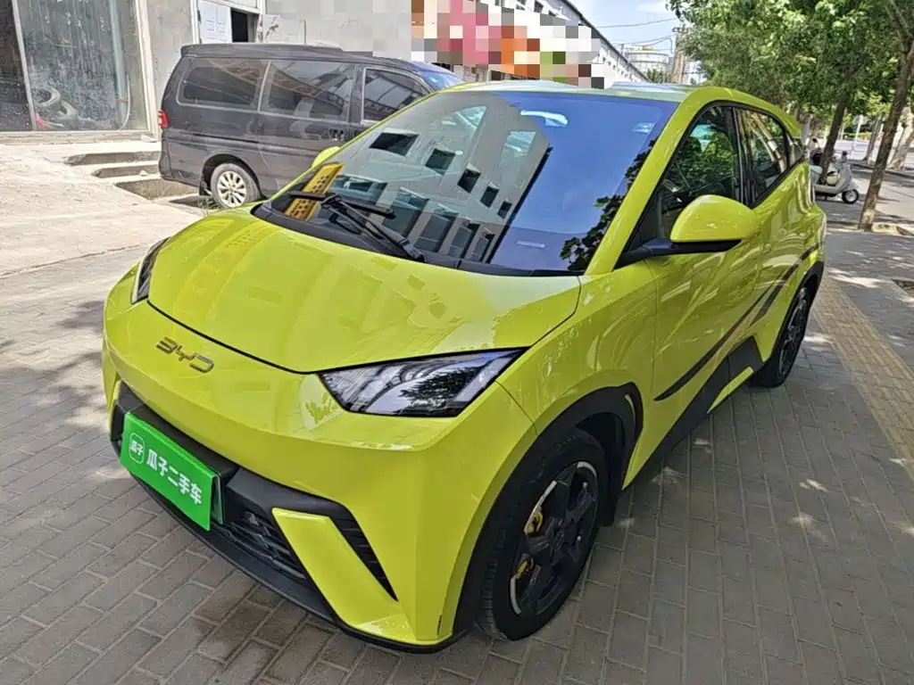 BYD Seagull 2024