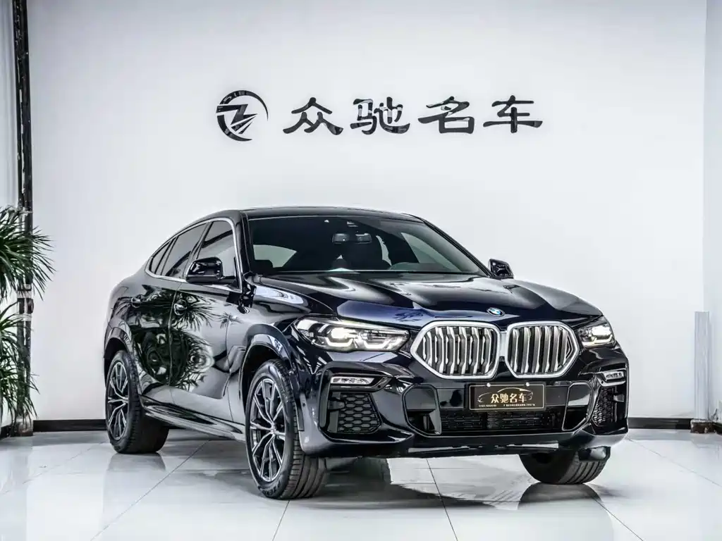 BMW X6 2021 — фото 3