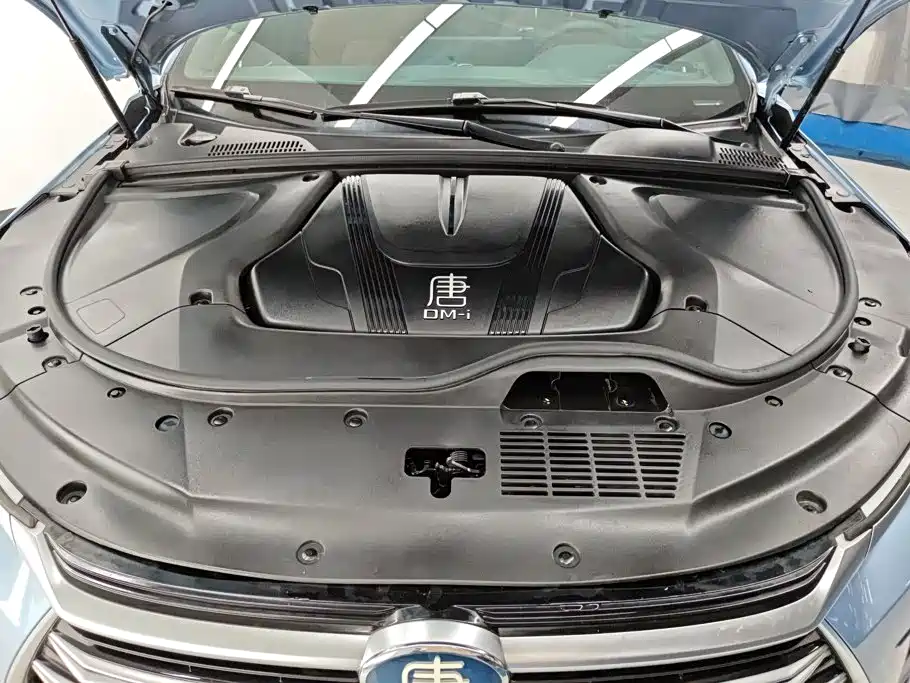 BYD Tang New Energy 2023 — фото 10