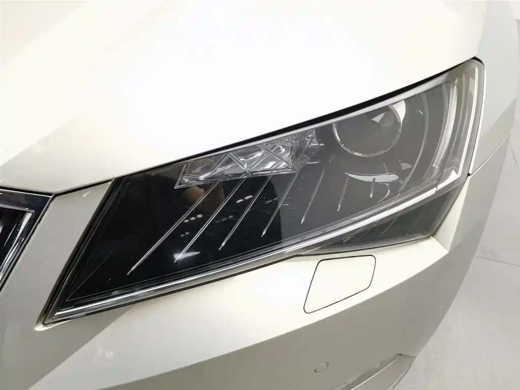 Skoda Speedy 2018