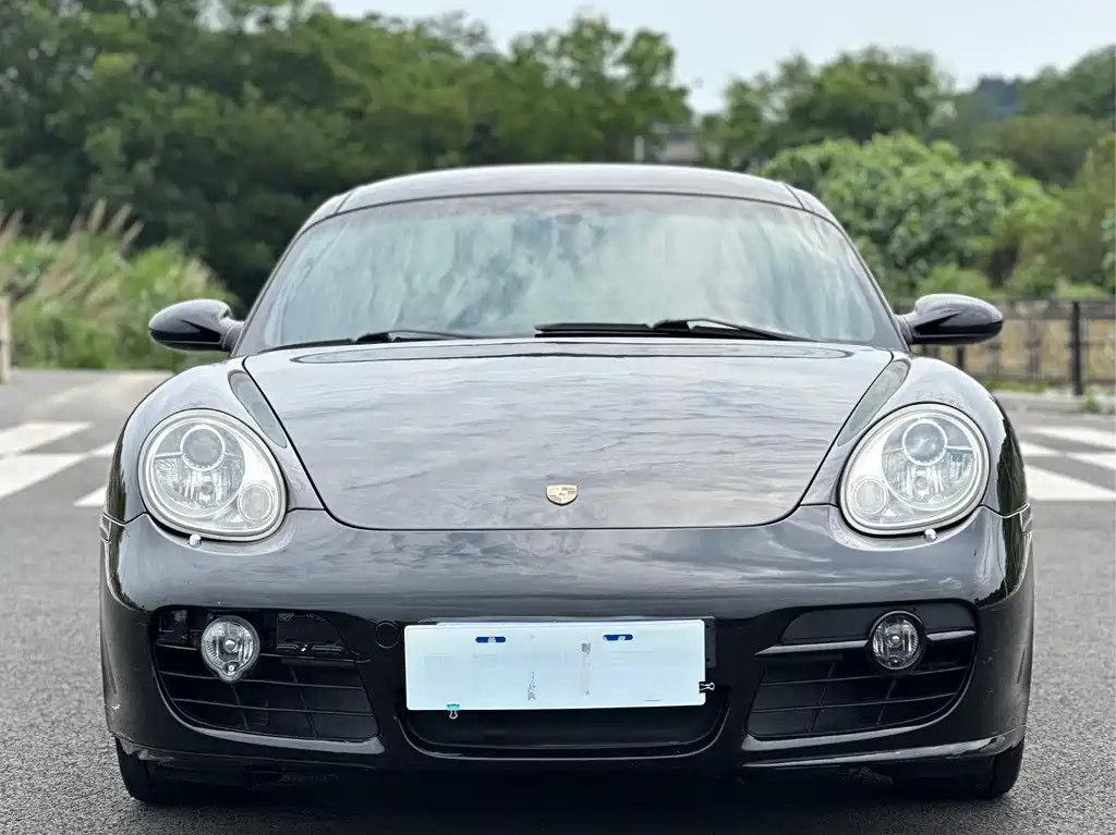 Porsche Cayman 2010 — фото 2