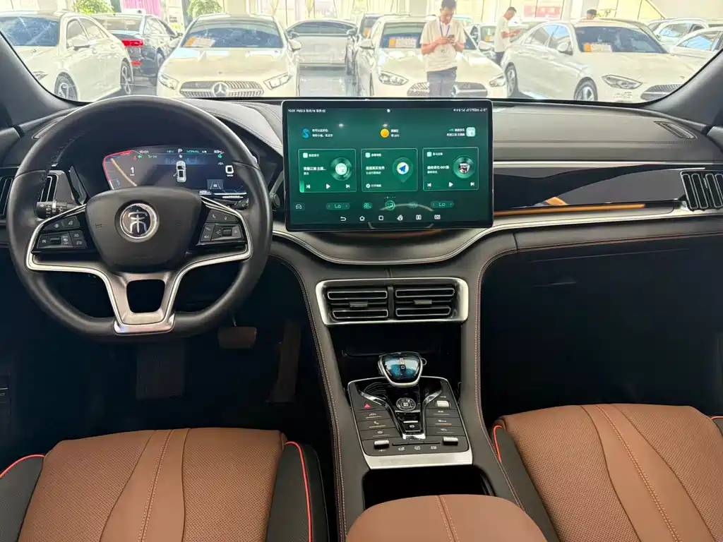 BYD PLUS New Energy 2022 — фото 4
