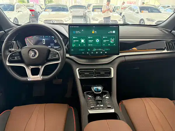 BYD Song PLUS New Energy 2021