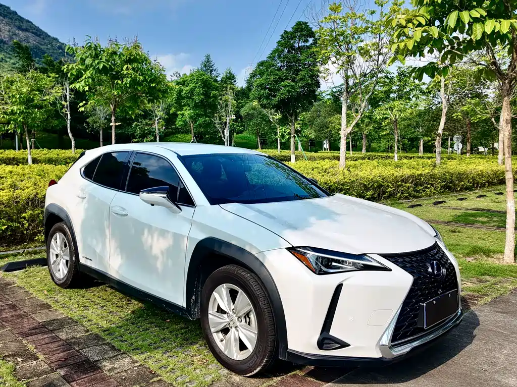 Lexus UX 2019 — фото 21
