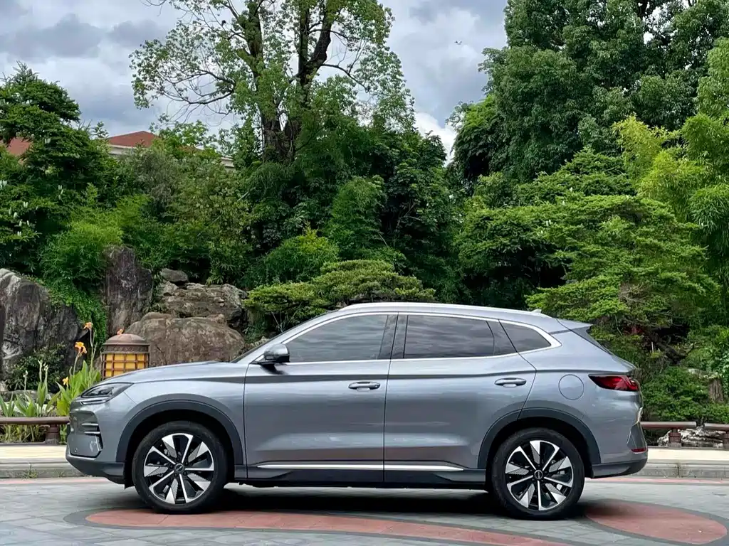 BYD Song PLUS New Energy 2024 — фото 3