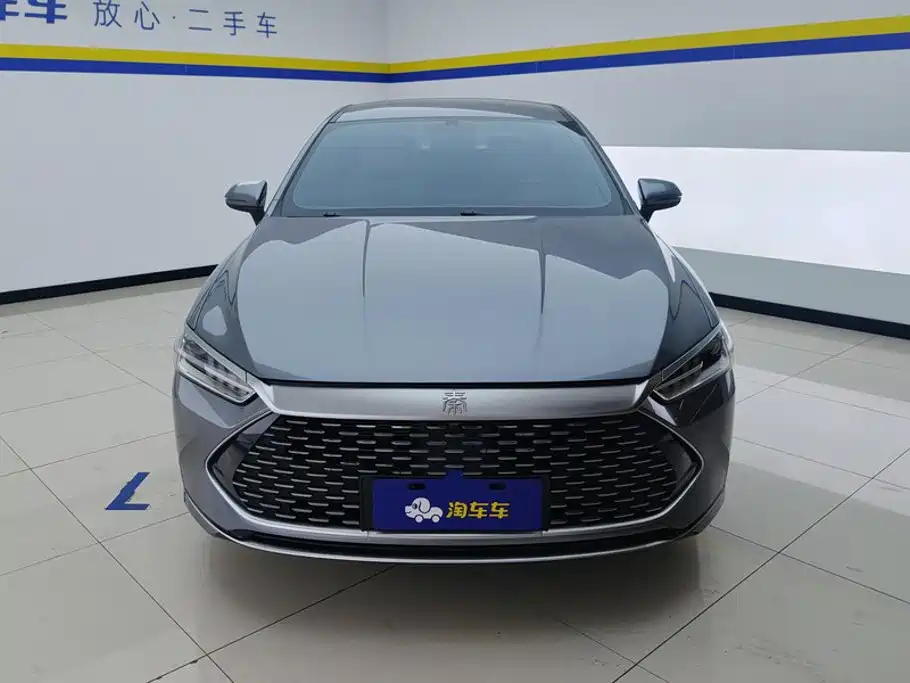 BYD Qin PLUS 2024 — фото 2