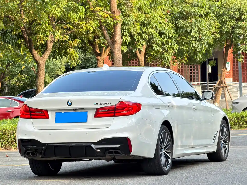 BMW 5 Series 2019