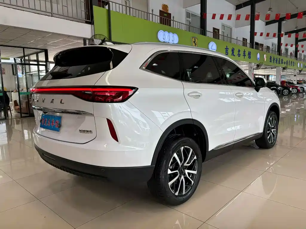 Haval H6 2021 — фото 16