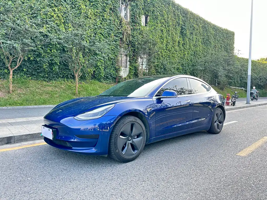 Tesla Model 3 2020 — фото 2