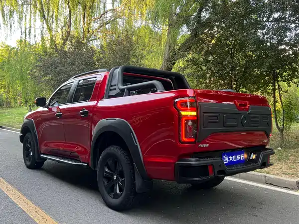 Great Wall Poer 2021