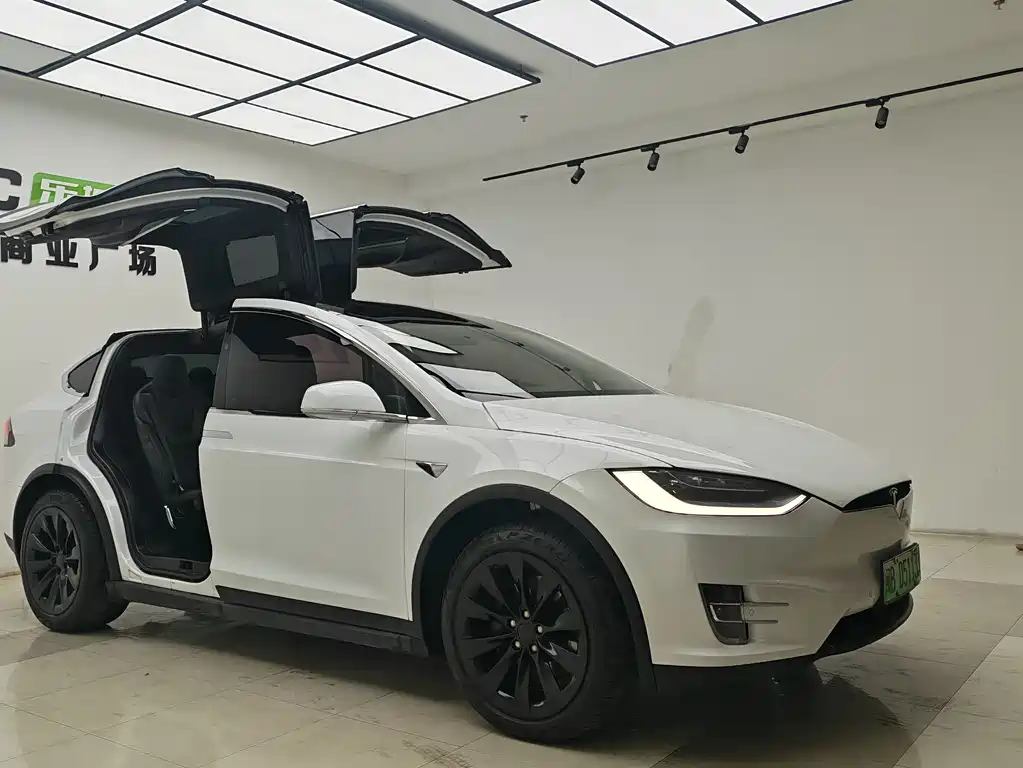 Tesla Model X 2017 — фото 8