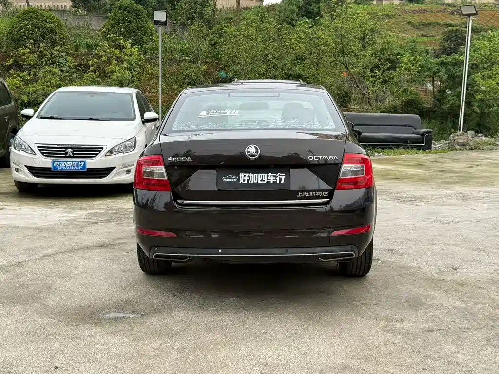 Skoda Octavia 2017 — фото 8
