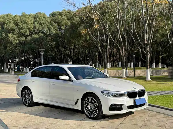 BMW 5 Series 2019