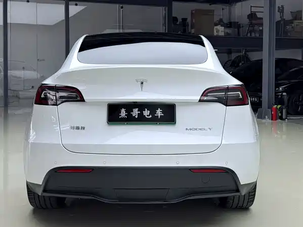 Tesla Model Y 2021
