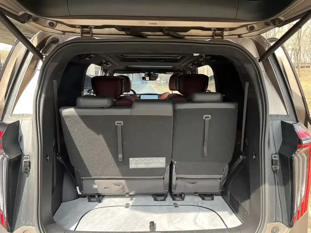 GAC Motor Trumpchi M8 2024 — фото 20