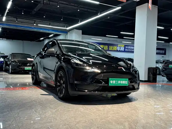 Tesla Model Y 2021