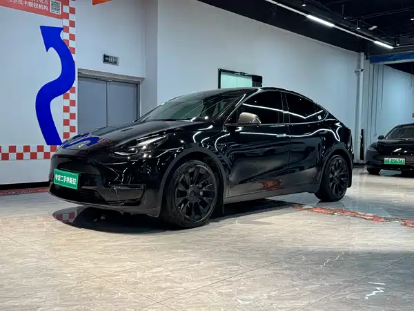 Tesla Model Y 2021