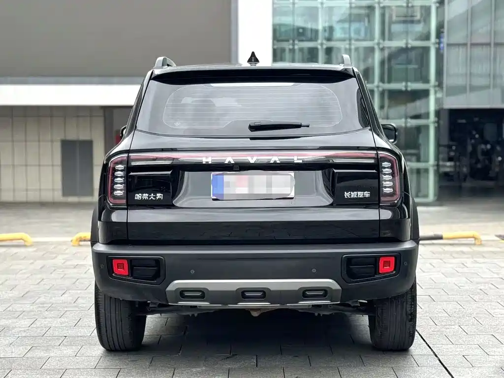 Haval Big Dog 2024 — фото 17