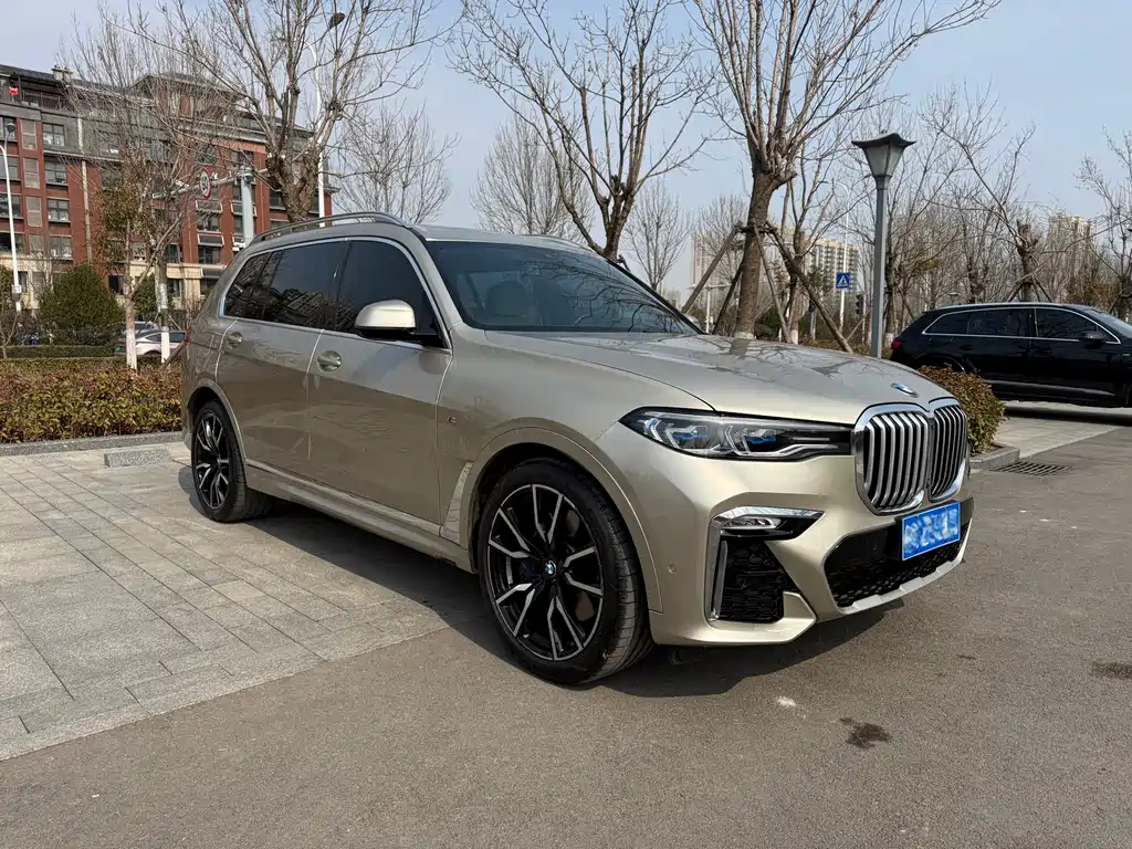 BMW X7 2019 — фото 3