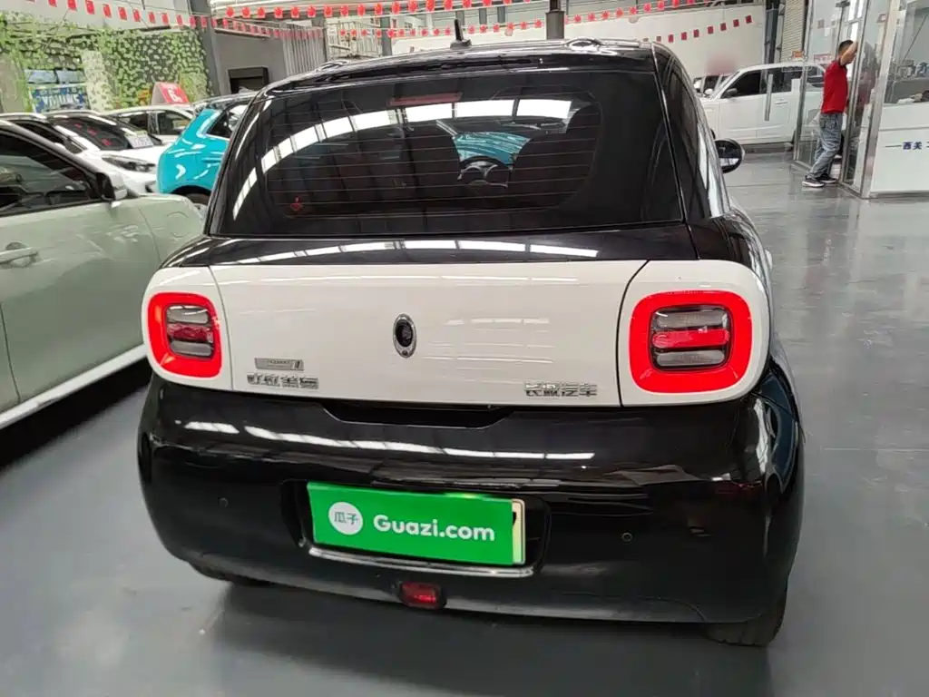 Ora Black Cat 2021