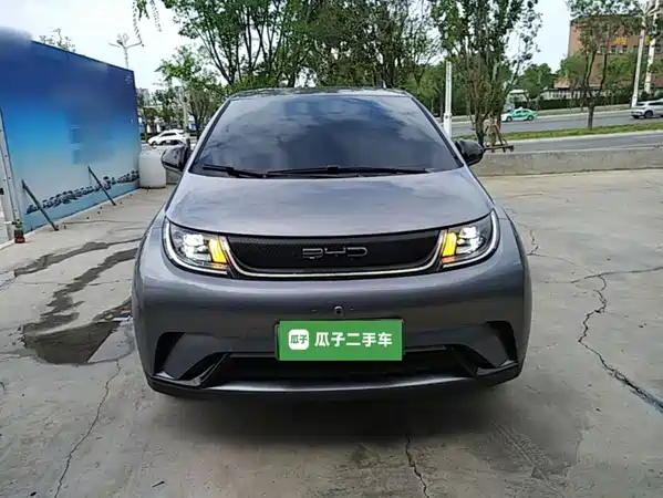 BYD Dolphin 2024