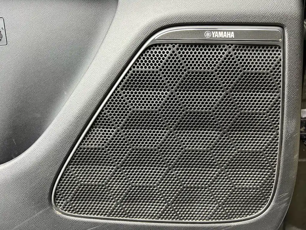 GAC Motor Trumpchi E9 2025 — фото 4