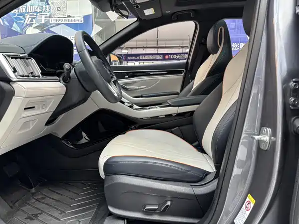 BYD Song PLUS New Energy 2021