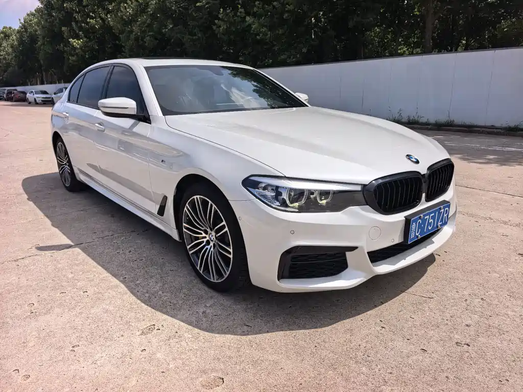 BMW 5 Series 2019
