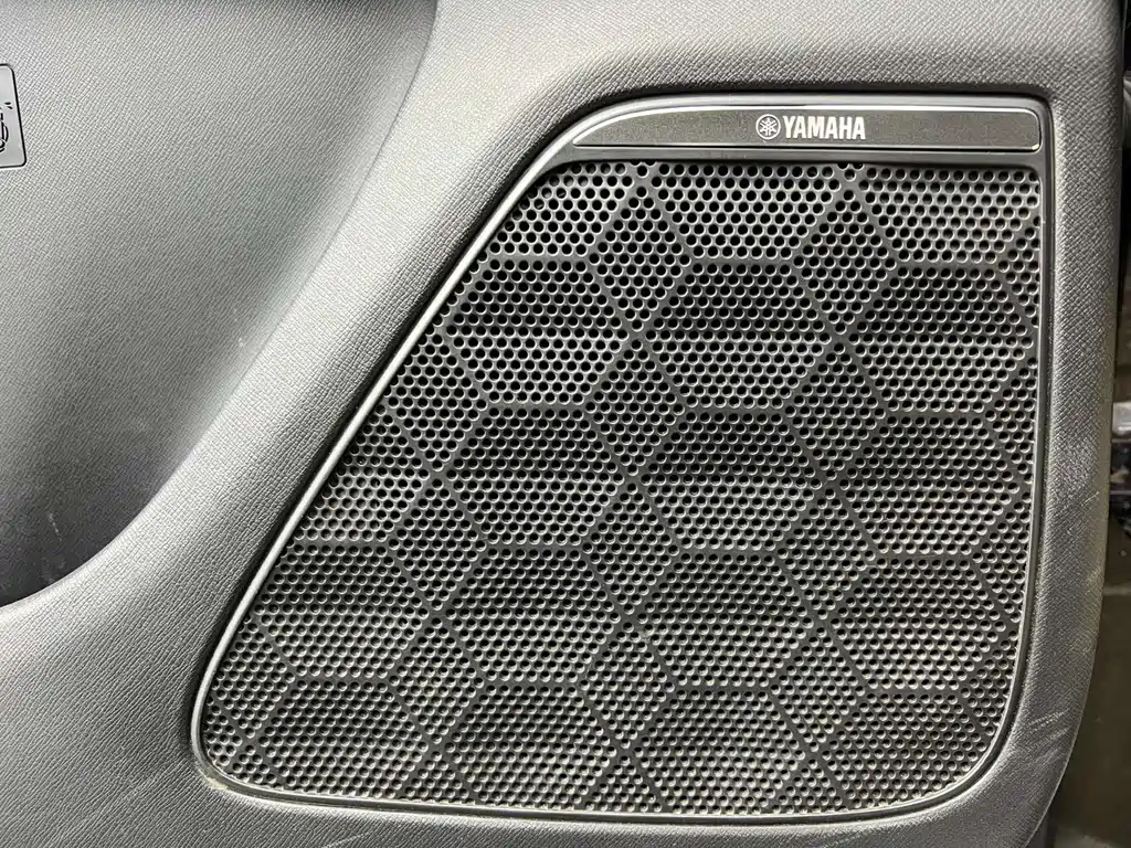 GAC Trumpchi E9 2025 — фото 6