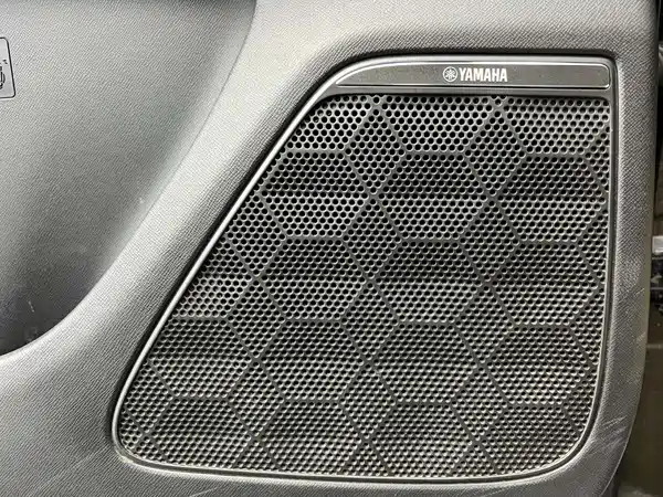 GAC Trumpchi E9 2025