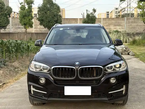 BMW X5 2014