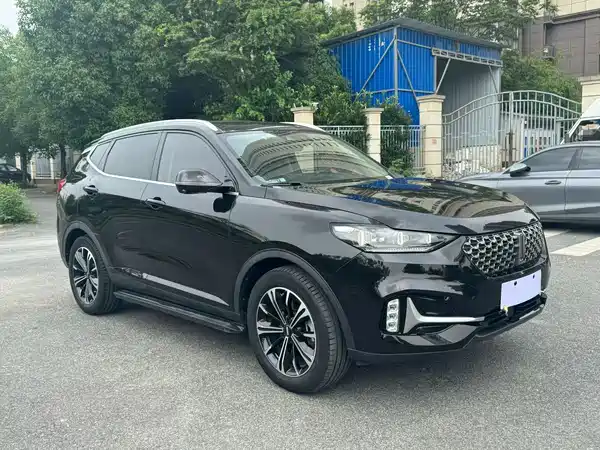 Wey VV6 2020