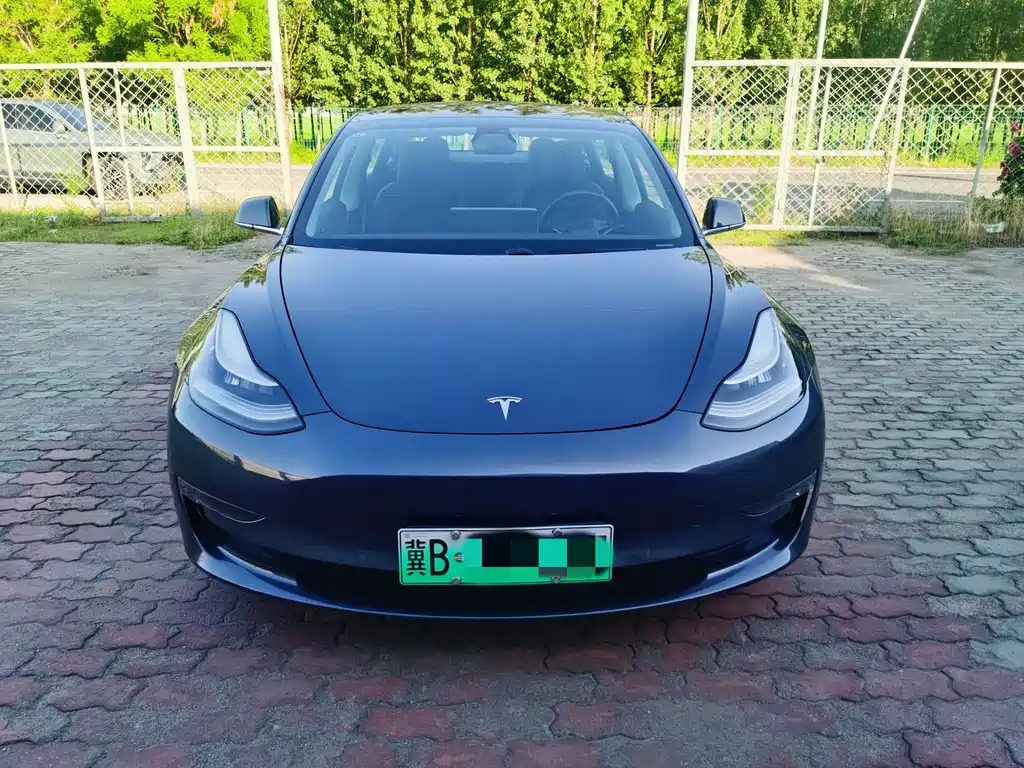 Tesla Model 3 2019